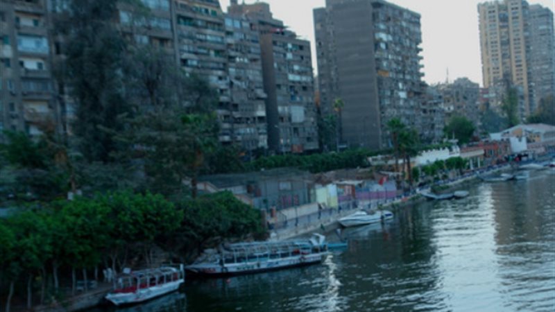 تطوير الواجهات النيلية