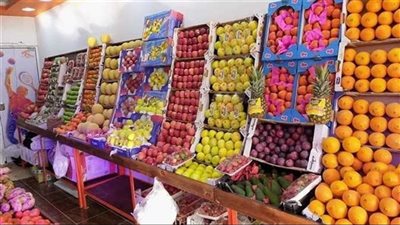 البلح البرحي يسجل 50 جنيها والقشطة بـ60، أسعار الفاكهة الشتوية بالبحيرة (فيديو)