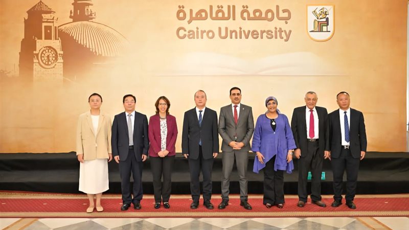 نائب رئيس جامعة القاهرة