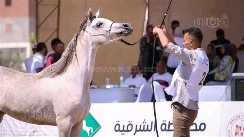 سياحة الشرقية