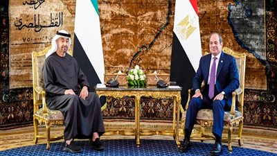 قمة مصرية إماراتية اليوم لتعزيز التنسيق بشأن الأزمات الإقليمية والدولية