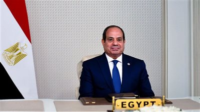  السيسي يجدد التأكيد على ثوابت الموقف المصري تجاه الحرب في غزة