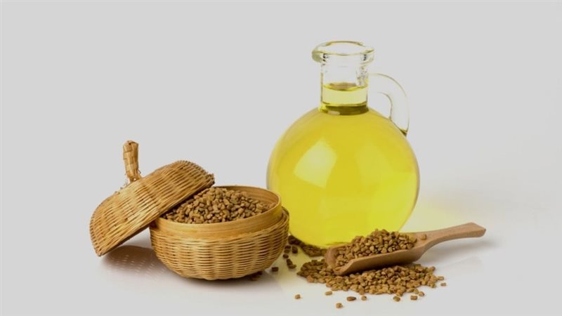 زيت الحلبة وفوائدها