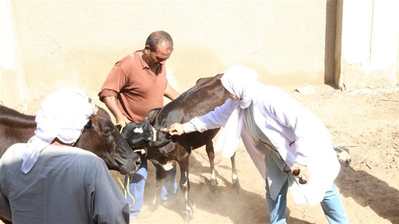 قافلة بيطرية، فيتو