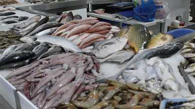 سعر السمك اليوم الأربعاء، البلطي بـ 70 جنيها رغم الارتفاع وانخفاض كبير في البوري