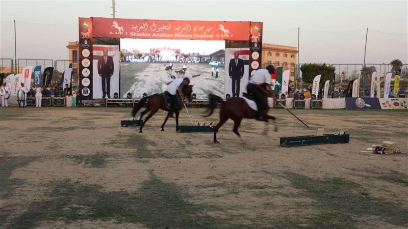 مهرجان الخيول، فيتو