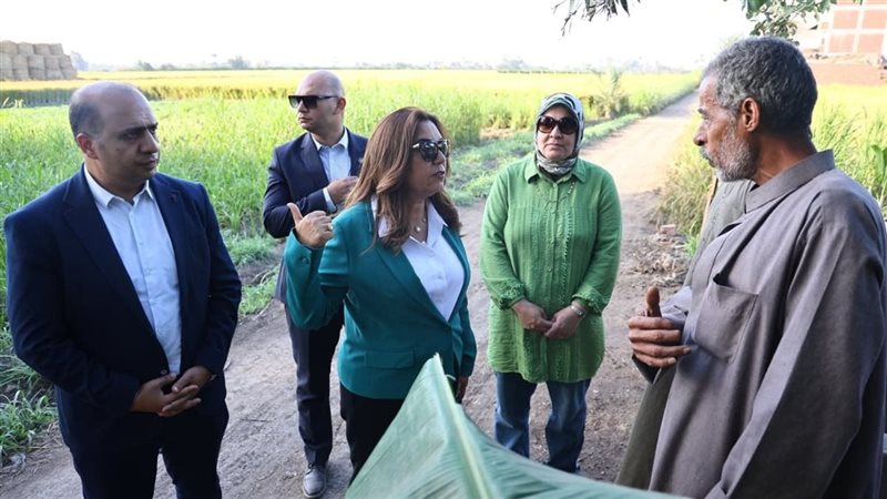 وزيرة التنمية المحلية،