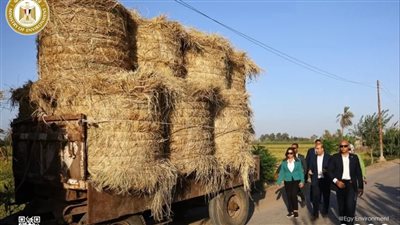 وزيرة البيئة توضح طرق الإبلاغ عن حالات حرق قش الأرز 