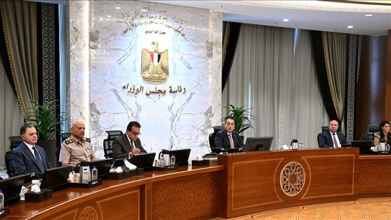 مجلس الوزراء، فيتو