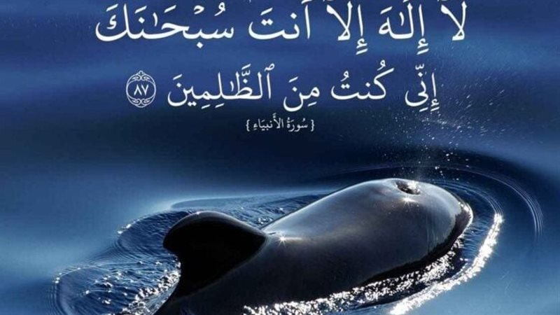 دعوة يونس عليه السلام