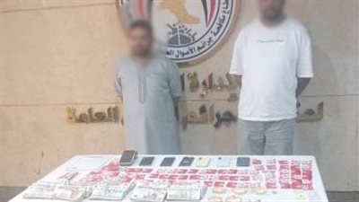 القبض على شخصين بتهمة النصب الإلكتروني على مواطنة والاستيلاء على أموالها