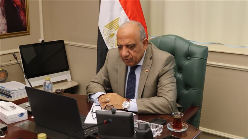 وزير الكهرباء، فيتو