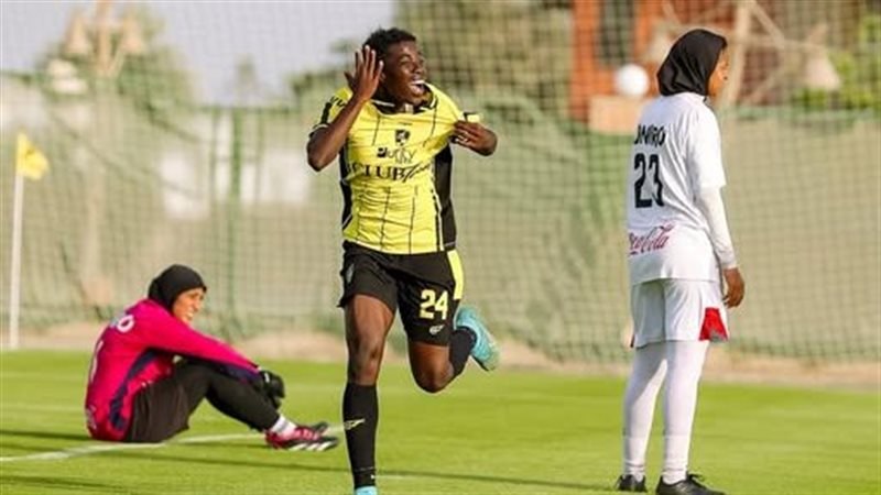 وادي دجلة والزمالك