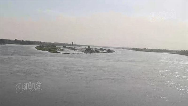 إجراءات عاجلة لحماية