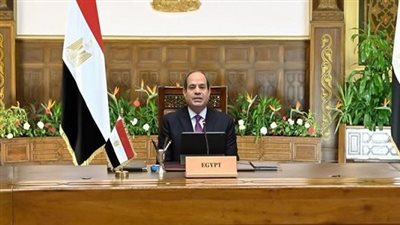 تكليفات مهمة من السيسي للحكومة.. تسريع استكمال منظومة التغذية الكهربائية الإضافية لمشروع “الدلتا الجديدة”.. ضمان توفير المحاصيل الاستراتيجية.. وتحديث الخطة الوطنية لأمن الطاقة