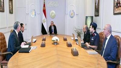 السيسي يتابع توفير التغذية الكهربائية للمشروعات الزراعية الجديدة (فيديو)