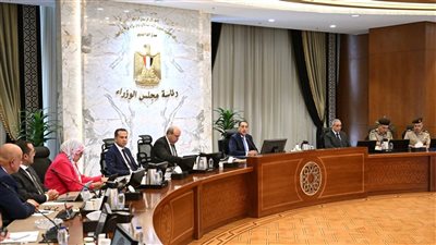 رئيس الوزراء يتابع موقف مشروعات تطوير البنى التحتية وأنظمة التأمين بالمطارات المصرية