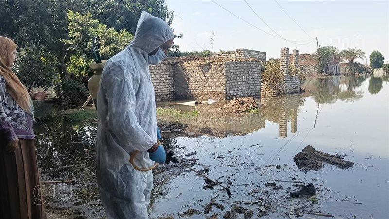 مقاومة البعوض بالمنوفية،فيتو