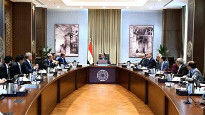 الحكومة تعلن طروحات مرتقبة في الاتصالات والبنوك والبترول والسياحة والعقارات 