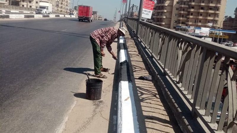 جانب من الحملة بالبحيرة