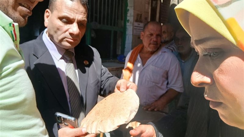 الاسكندرية 