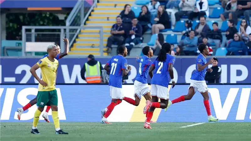 منتخب فرنسا، فيتو