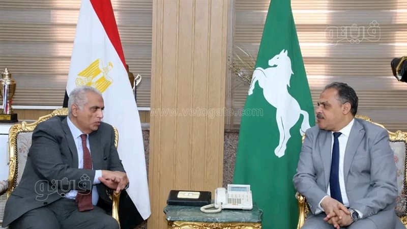 نائب مساعد وزير الخارجية