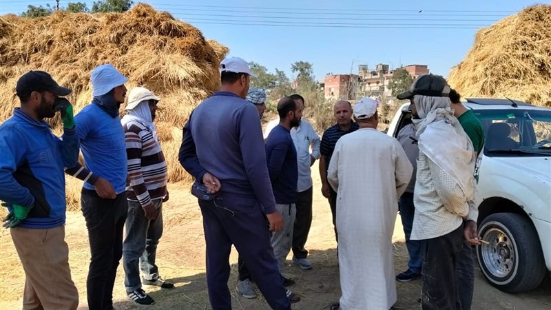 حرق قش الأرز، فيتو