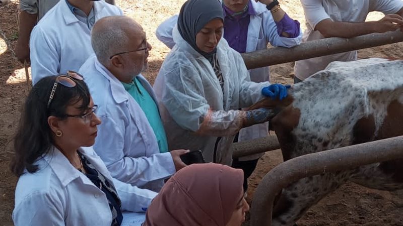 حملات بيطرية، فيتو