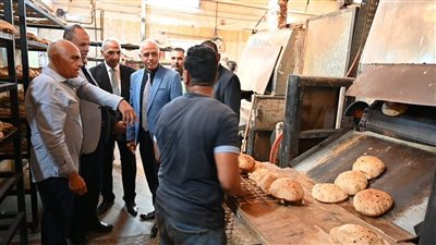 تحرير 45 مخالفة تموينية في حملات على المخابز والمحال التجارية بالفيوم