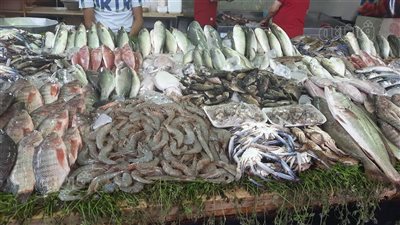 سعر السمك اليوم، قفزة غير متوقعة في 4 أصناف منها البلطي وانخفاض البوري 30 جنيها