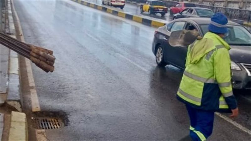 الاسكندريه 