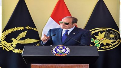  أزمة سد النهضة وإنهاء حرب غزة تتصدران نشاط السيسي خلال النصف الأول من أكتوبر (فيديو)