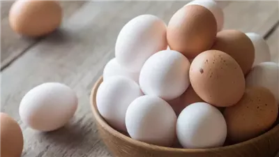 في يومه العالمي، 10 طرق مميزة لتحضير البيض بمصر