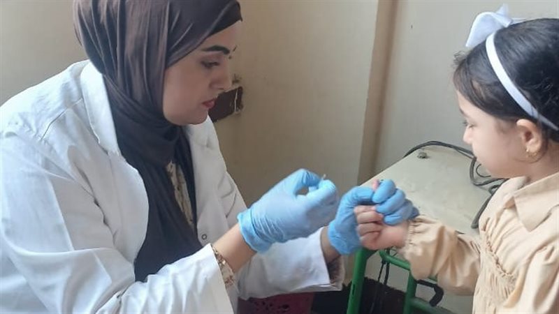 حملات بالمدارس، فيتو