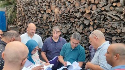 حملة تفتيشية مكثفة على مكامير الفحم بدمياط لضبط المخالفات البيئية