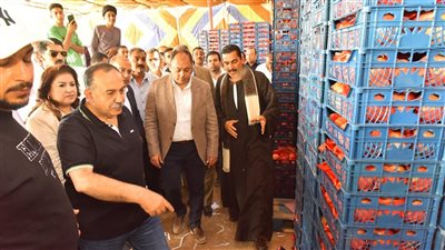 محافظ أسيوط ورئيس هيئة تنمية الصعيد يتفقدان مجمع صناعات الرمان بالكوم الأحمر (فيديو) 
