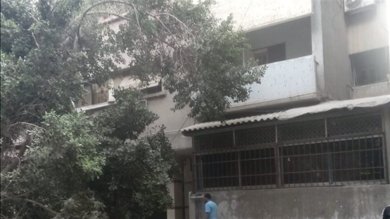 إزالة الشجرة 
