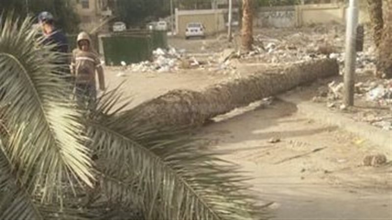 مصرع مسن بعد سقوط