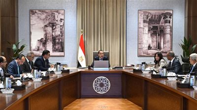 رئيس الوزراء يتابع موقف تنفيذ وتشغيل محطات تحلية المياه بشمال سيناء