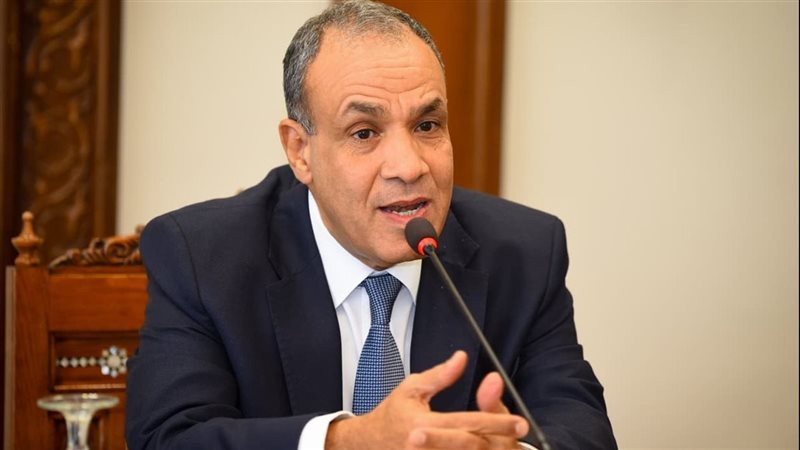 السفير بدر عبد العاطي،