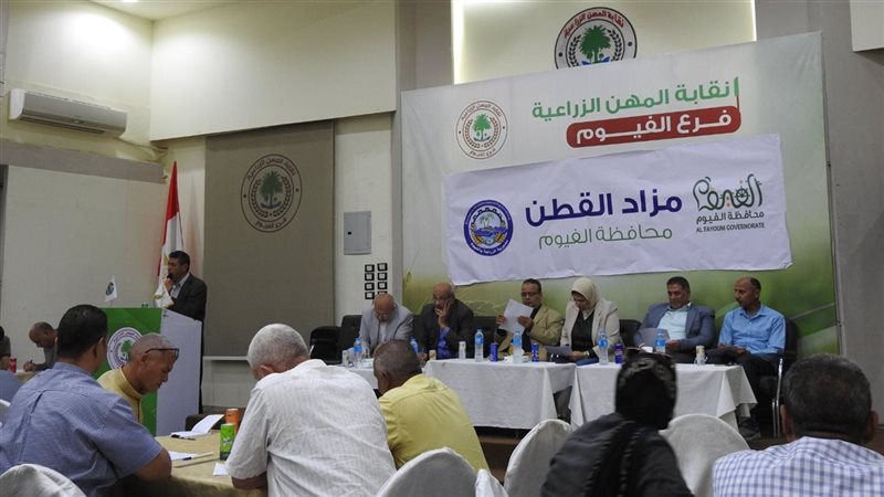 مزاد القطن بالفيوم،