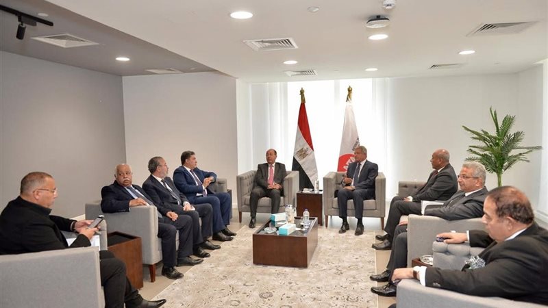 لجنة تطوير الإعلام،