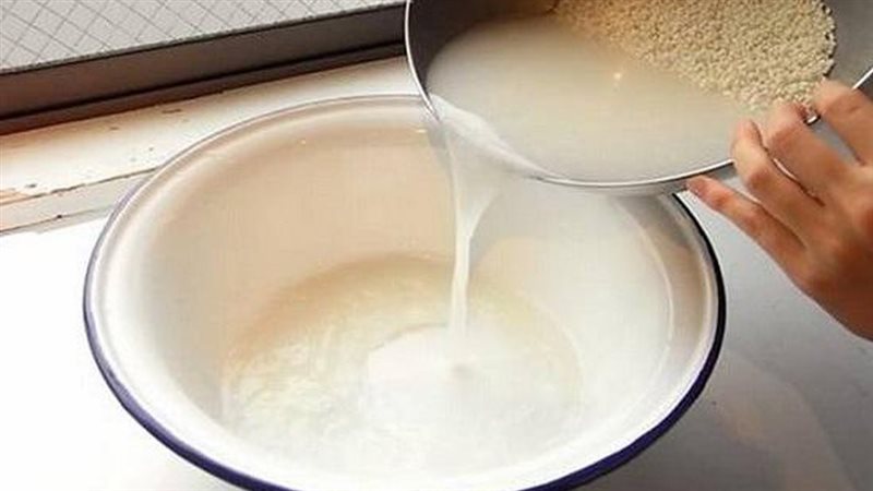 ماء الأرز المخمرة،