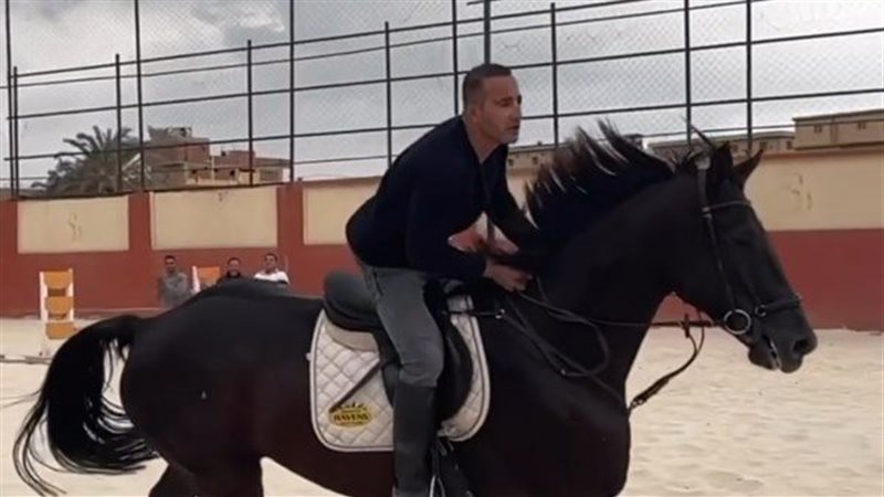 حقيقة سرقة جواز سفر