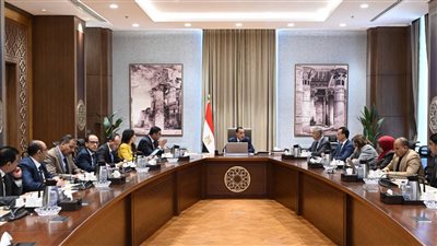 رئيس الوزراء يتابع موقف العقارات المعرضة للانهيارات بالإسكندرية وجهود توفير سكن بديل
