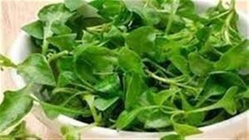 تفسير رؤية الجرجير