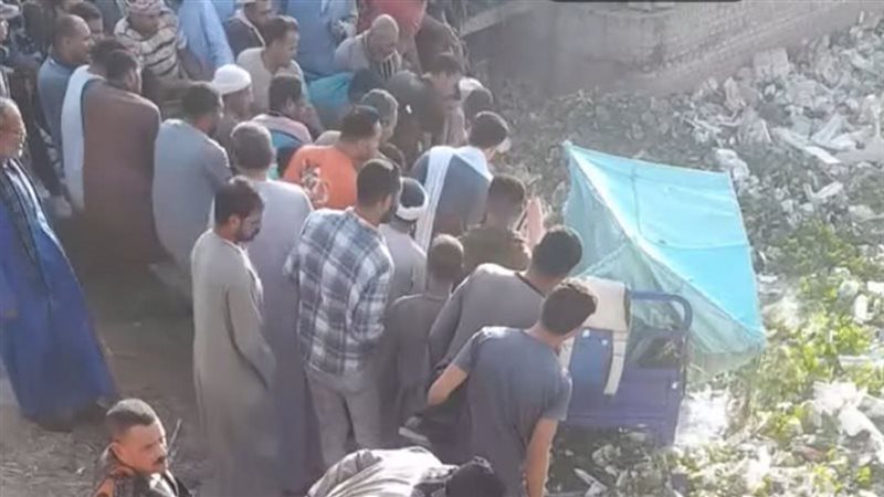 تجديد حبس سائق تروسيكل