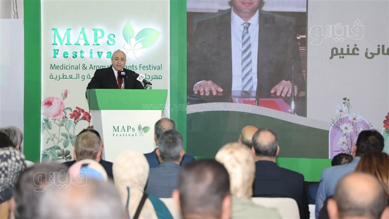 محافظ بني سويف بمهرجان