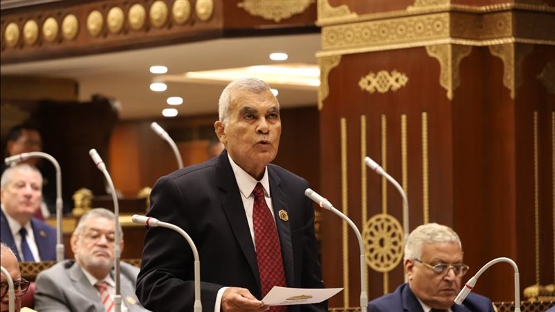 المستشارعصام فريد،